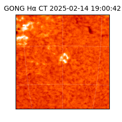 gong - 2025-02-14T19:00:42