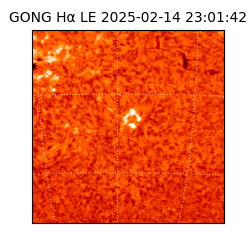 gong - 2025-02-14T23:01:42