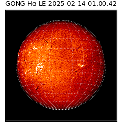gong - 2025-02-14T01:00:42
