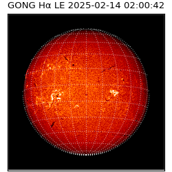 gong - 2025-02-14T02:00:42