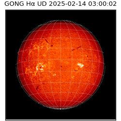 gong - 2025-02-14T03:00:02