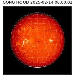 gong - 2025-02-14T06:00:02
