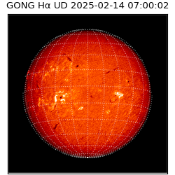 gong - 2025-02-14T07:00:02