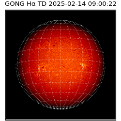 gong - 2025-02-14T09:00:22