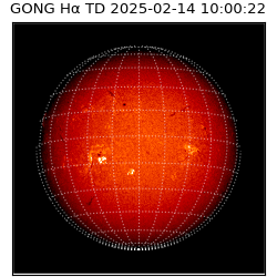 gong - 2025-02-14T10:00:22