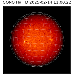 gong - 2025-02-14T11:00:22