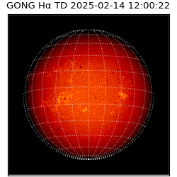 gong - 2025-02-14T12:00:22