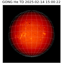 gong - 2025-02-14T15:00:22