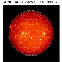 gong - 2025-02-14T19:00:42