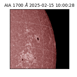 saia - 2025-02-15T10:00:28.717000