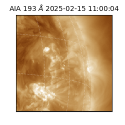 saia - 2025-02-15T11:00:04.843000