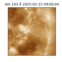 saia - 2025-02-15T09:00:04.843000