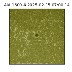 saia - 2025-02-15T07:00:14.125000