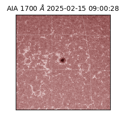 saia - 2025-02-15T09:00:28.717000