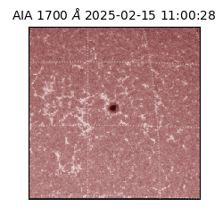 saia - 2025-02-15T11:00:28.717000