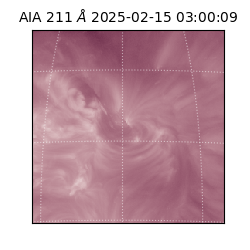 saia - 2025-02-15T03:00:09.624000