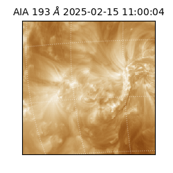 saia - 2025-02-15T11:00:04.843000