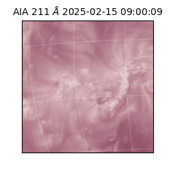 saia - 2025-02-15T09:00:09.626000