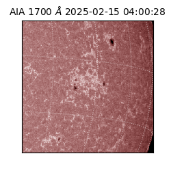 saia - 2025-02-15T04:00:28.734000