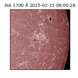 saia - 2025-02-15T09:00:28.717000