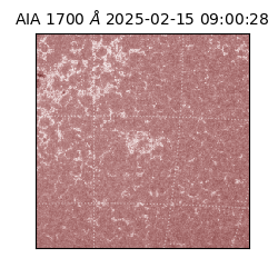 saia - 2025-02-15T09:00:28.717000