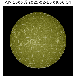 saia - 2025-02-15T09:00:14.126000