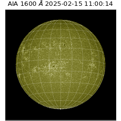 saia - 2025-02-15T11:00:14.125000