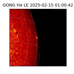 gong - 2025-02-15T01:00:42