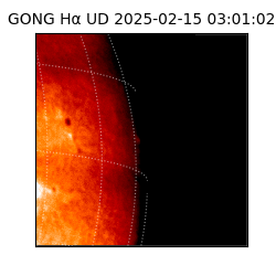 gong - 2025-02-15T03:01:02
