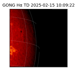 gong - 2025-02-15T10:09:22