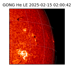 gong - 2025-02-15T02:00:42