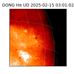 gong - 2025-02-15T03:01:02