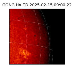 gong - 2025-02-15T09:00:22