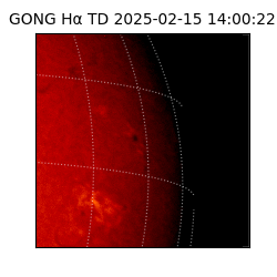 gong - 2025-02-15T14:00:22