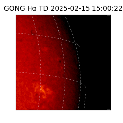 gong - 2025-02-15T15:00:22