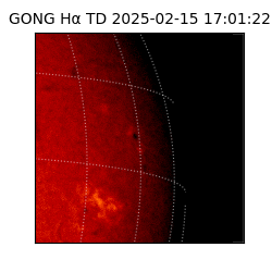gong - 2025-02-15T17:01:22