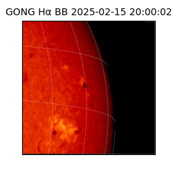 gong - 2025-02-15T20:00:02
