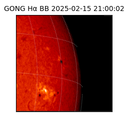 gong - 2025-02-15T21:00:02