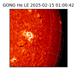 gong - 2025-02-15T01:00:42