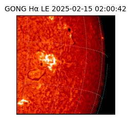gong - 2025-02-15T02:00:42