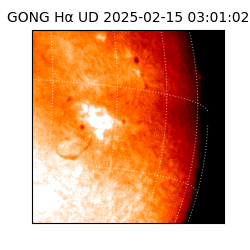 gong - 2025-02-15T03:01:02