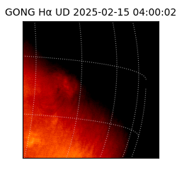 gong - 2025-02-15T04:00:02