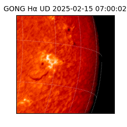 gong - 2025-02-15T07:00:02