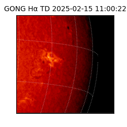 gong - 2025-02-15T11:00:22
