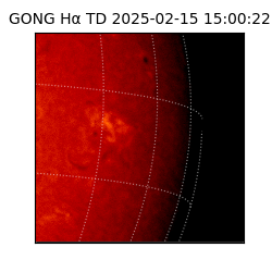 gong - 2025-02-15T15:00:22