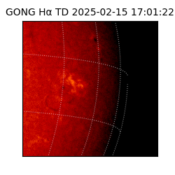 gong - 2025-02-15T17:01:22