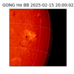 gong - 2025-02-15T20:00:02