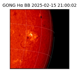 gong - 2025-02-15T21:00:02
