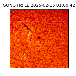 gong - 2025-02-15T01:00:42