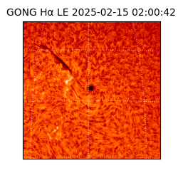 gong - 2025-02-15T02:00:42